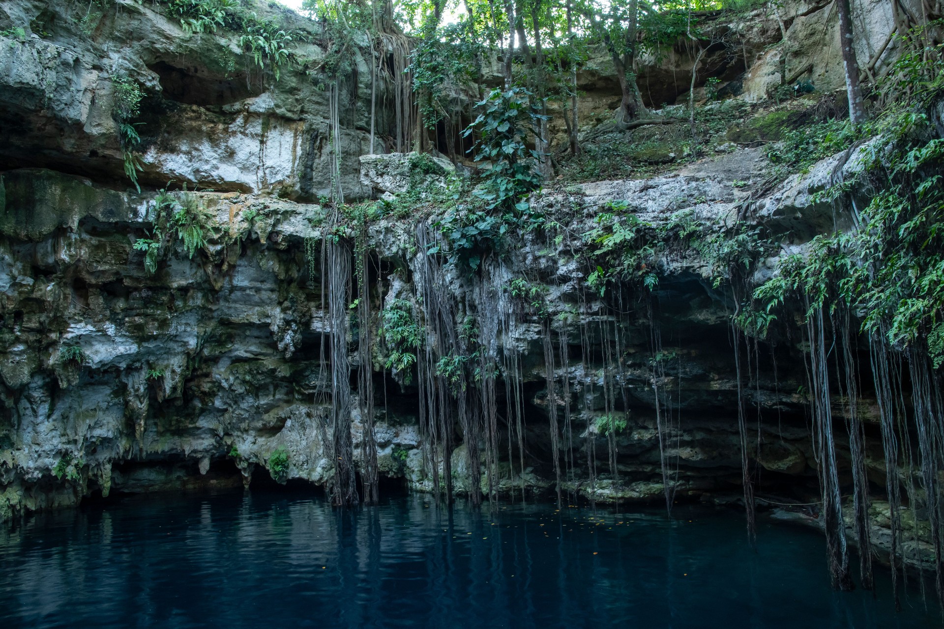 Cenote Flor de Agua in Yucatan, Mexico